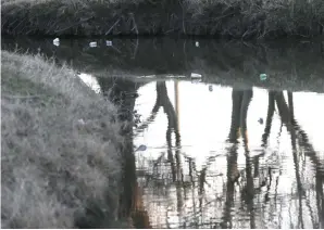  ?? Elizabeth Conley/Houston Chronicle via AP ?? ■ Panther Creek is shown on Jan. 24 in Galena Park, a community of 11,000 people, near Houston. During Harvey’s three-day downpour, the creek’s water was a slimy brownish-black and smelled like a “rotten sewer,” said Galena Park resident Jessica...