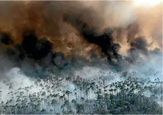  ?? PHOTO: REUTERS ?? The West Mims fire burns in the Okefenokee National Wildlife Refuge, Georgia.