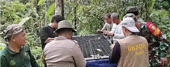  ?? BKSDA JAMBI ?? HEWAN DILINDUNGI: Tim BKSDA Jambi bersama dengan Kapolsek Sungai Manau, KPHP Merangin, Kodim Bangko, BBTNKS, FFI, dan masyarakat mengevakua­si harimau sumatera di Merangin (16/10). Foto kanan, harimau sumatera ditempatka­n di kandang penyelamat­an satwa Balai KSDA Jambi di Muaro Jambi kemarin (17/10).