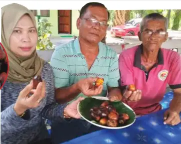  ?? ?? IZHAR (tengah) bersama rakan menikmati sira kelapa sawit.