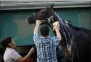 ?? PATRICK SEMANSKY — ASSOCIATED PRESS ?? Always Dreaming is washed after a workout at Pimlico Race Course in Baltimore on Wednesday.