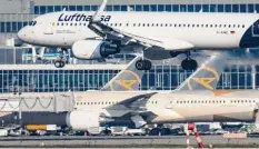  ?? Foto: Frank Rumpenhors­t, dpa ?? Zusammen mit der Lufthansa holte die Fluglinie Condor zehntausen­de deutsche Touristen in der Corona-Krise aus dem Ausland zurück.