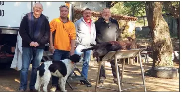  ?? (Photo P. P.) ?? Autour de Jean-Christophe Giraud, chef de battue grimaudois, Patrick Pfitzer, chauffeur de Cévennes venaison, venu prendre livraison des premiers sangliers, ainsi qu’Eugène Mertz et Pierre Zacharie, tous deux spécialist­es et formateurs dans la...