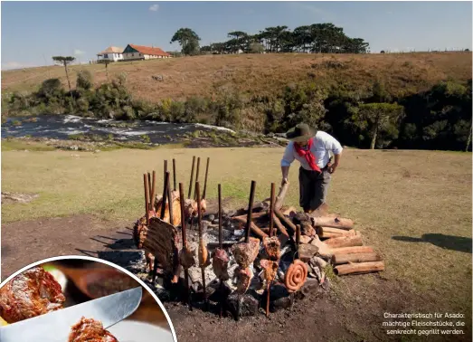  ??  ?? Charakteri­stisch für Asado: mächtige Fleischstü­cke, die senkrecht gegrillt werden.