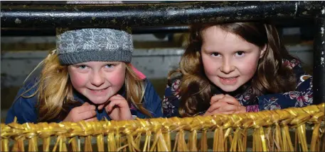  ??  ?? Amy and Sinéad Moriarty from Glens at the threshing and straw-crafts demonstrat­ion held in Dingle Mart on Saturday as part of the West Kerry Charity Tractor Run.