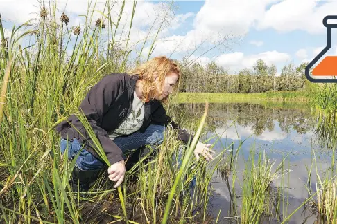  ??  ?? As Tracy Lee demonstrat­es, the Call of the Wetland project starts with rubber boots and basic observatio­ns.