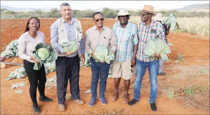  ?? ?? Produce… Members of parliament with cabbages harvested from one of the farming units at Sumas near Otavi.