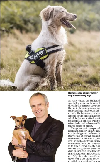  ??  ?? Harnesses are a kinder, better way of restrainin­g dogs