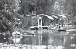  ?? MARCO UGARTE/AP ?? A farmer canoes to his floating farm in Mexico City. The canals and gardens are the last remnants of a water transport system built by the Aztecs in Tenochtitl­an.