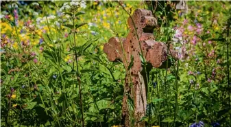  ??  ?? An old gravestone stands amongst the flowers