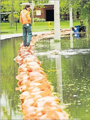 ?? CP PHOTO ?? Arborist Claire Bohdan walks the street line row of sandbags Friday as a spawning carp splashes near her on Toronto Islands. The sandbags hold water from flooding the land more as Toronto Islands are threatened by rising water levels on Friday.