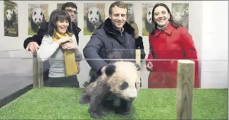  ?? (Photo Zooparc de Beauval) ?? Le président a rendu visite à Yuan Meng, le bébé panda.