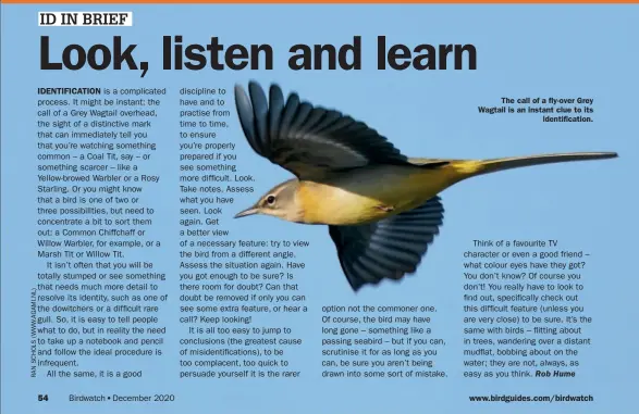  ??  ?? The call of a fly-over Grey Wagtail is an instant clue to its identifica­tion.