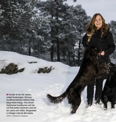  ?? FOTO: TT/PONTUS LUNDAHL ?? Hundar är bra för hälsan, enligt forskninge­n. Det kan hundinstru­ktören Helena Högberg-Holm intyga. Hon driver Holmtorps hundkurser och har två flatcoated retrievers som heter Lystra och Chilla. Skogkatten Lo hänger med på det mesta.