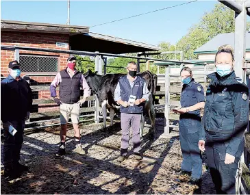  ??  ?? Spreading the rural crime prevention message at the Warragul Saleyards on Friday are farm crime liaison officers leading senior constables Paula Fowler (second right) and Lisa Lambert (right) with livestock agents (from left) Darryl Adams, Michael Robertson and Neil Darby.