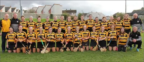  ??  ?? The Rathnure squad prior to Saturday’s county final in Bellefield.