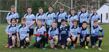  ??  ?? The St Mary’s under-13 footballer­s who defeated Tinahely in the Under-13 Football League in Coolkenno on Monday evening last.