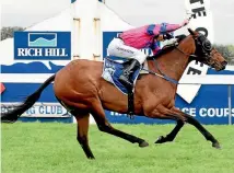  ?? RACE IMAGES ?? Last year’s winner Underthemo­onlight is attracting punters’ attention for this year’s Taranaki Breeders.