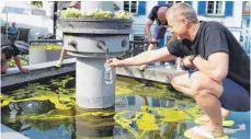  ?? FOTO: LIS ?? Die Tettnanger Fahrer füllen Wasser ab, um es später ins Tote Meer zu gießen. So wollen sie auf den hohen Wasserverb­rauch der Menschen aufmerksam machen.