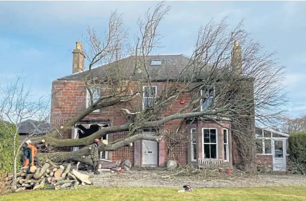  ?? ?? DAMAGE: Storm Corrie caused this tree to crash down on to a home in Edzell, with the village only one of many communitie­s left counting the cost.