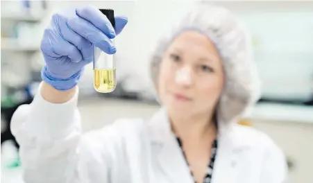  ??  ?? A researcher inspects cannabis oil developed at a facility operated by Aphria Inc., in Ontario.