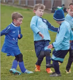  ??  ?? Action from under-8s clash of Ashford Rovers and Shillelagh Utd.