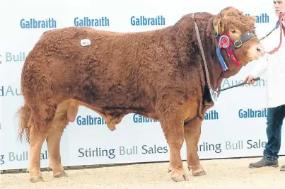  ?? Pictures: Tim Scrivener. ?? Dyke Macbeth took the top Limousin price of 13,000gn at Stirling yesterday.