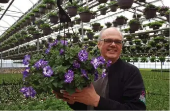  ?? SONIA DAY ?? Albert Grimm, grower at Jeffery’s Greenhouse­s in Niagara, has been nurturing Starry Sky for three years. It is the first-ever speckled petunia, and they look like they’ve been spattered with white paint, to dazzling effect.