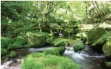  ?? ?? Natural Water Sanctuary in Japan