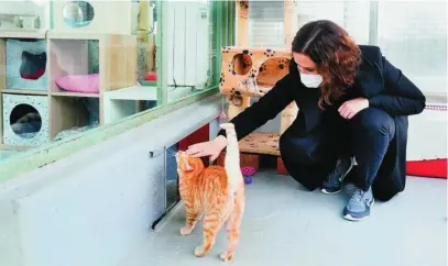  ?? CAM ?? Animales de compañía Ayuso, ayer, en el Centro Integral de Acogida de la Comunidad, donde anunció que se destinarán 1,8 millones a entidades de acogida