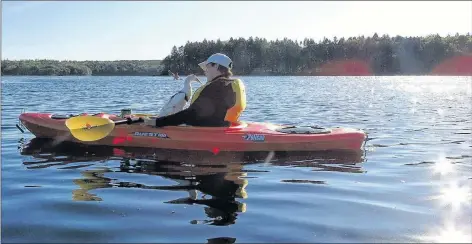  ??  ?? Recently, Cottreau took Phoenix with her kayaking. The duck wore a special harness to make retrieval easier.