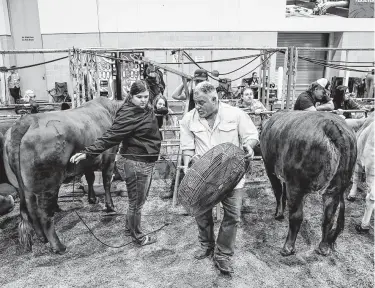  ?? Jon Shapley / Staff photograph­er ?? Robert Sanders, center, helps members of the Lumberton FFA pack up as they wait to leave the Houston Livestock Show and Rodeo after its cancelatio­n was announced due to concerns about COVID-19 on March 11.