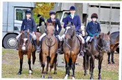  ??  ?? New Forest breeder Erika Dovey’s ponies are usually born in the forest as well as raised there, and they also show, compete and hunt