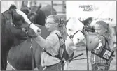  ?? ?? Tulsa Smith (at front) was the reserve champion and Chloe Wagner behind her was the champion in the peewee showmanshi­p competitio­n at the Junior Stockman’s livestock show, Sept. 24.