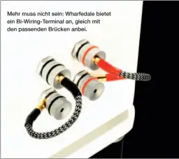  ??  ?? Mehr muss nicht sein: Wharfedale bietet ein Bi-wiring-terminal an, gleich mit den passenden Brücken anbei.