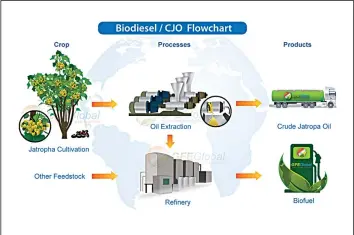  ??  ?? Jatropha refinery flowchart