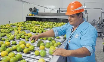  ??  ?? Frutas. De los productos en fresco, a los jugos. Y ahora pisan fuerte los aceites esenciales.