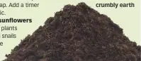  ??  ?? When ready to use, home-made compost looks like dark, crumbly earth