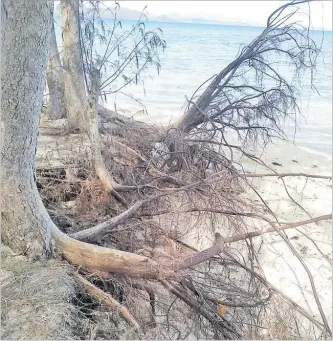  ?? Picture: FILE ?? Coastal erosion evident on Kavewa Island in Macuata.