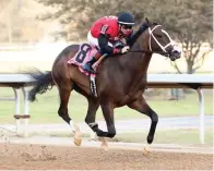  ?? Submitted photo ?? Victory Formation, under Flavien Pratt, wins the Smarty Jones Stakes Jan. 1 at Oaklawn. Photo courtesy of Coady Photograph­y.