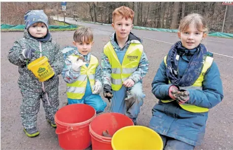  ?? FOTO: TAN ?? Helfer-Nachwuchs des NABU Warndt (von links): Mathilda, Fabian, Philip und Lisa lesen nahe des Warndtweih­ers Kröten auf.