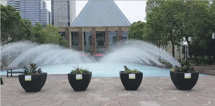  ?? PHOTOS: SUPPLIED ?? Planters created by city councillor­s Mohinder Banga, Tony Caterina, Scott McKeen and Mike Nickel in Churchill Square, launch the 2016 Front Yards In Bloom program.