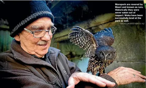  ?? DAVID UNWIN/FAIRFAX NZ ?? Morepork are revered by Maori and known as ruru. Historical­ly they were never eaten out of respect. Weka have been successful­ly bred at the park as well.