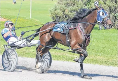  ?? JASON SIMMONDS/JOURNAL PIONEER ?? Jason Hughes drives Invictus Hanover during the second Governor’s Plate eliminatio­n Sunday at Red Shores at Summerside Raceway.