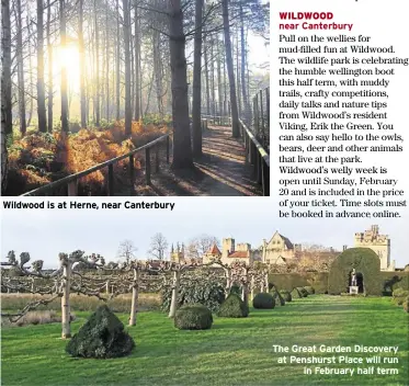  ?? ?? Wildwood is at Herne, near Canterbury
The Great Garden Discovery at Penshurst Place will run in February half term