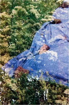  ??  ?? Above: Hawthorn/Tarp, double exposure on medium format film by Rob St John