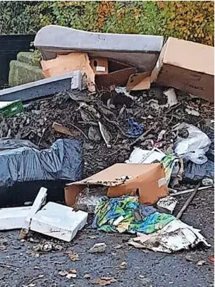  ?? ?? A cleaning company worker who was caught on CCTV dumping a large amount of waste at the entrance to a popular park has been jailed
