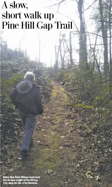  ?? PHOTOS BY PAM OWEN ?? Fellow hiker Robin Williams heads back into the open portion of Pine Hill Gap Trail, along the side of Hot Mountain.