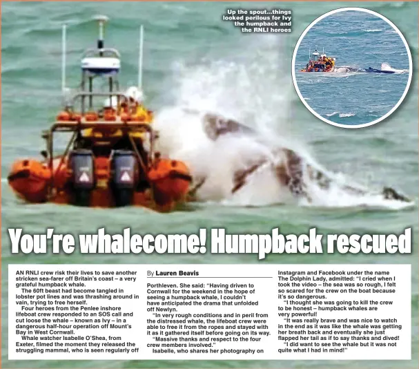  ?? ?? Up the spout...things looked perilous for Ivy the humpback and the RNLI heroes