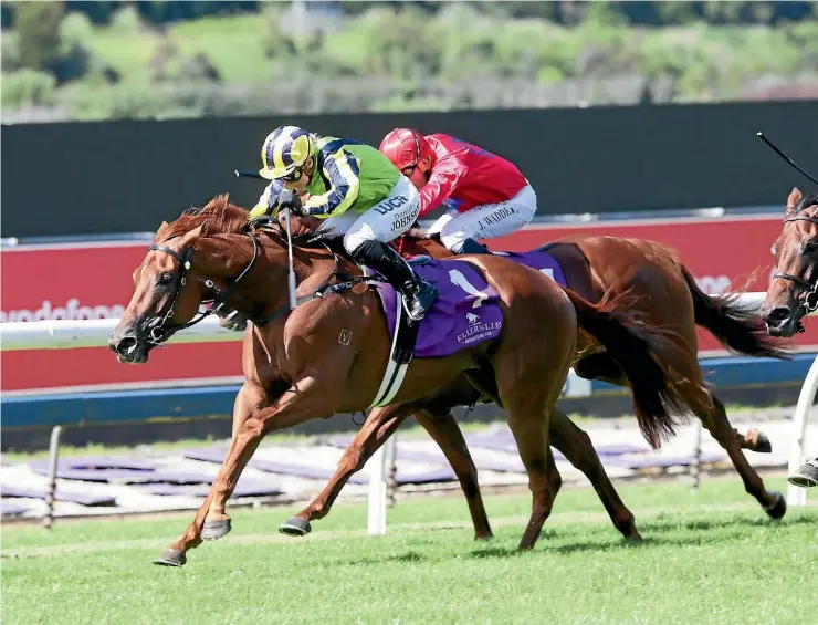  ??  ?? Eleonora holds Dreamcraft­er at bay to win the Sunline Vase and book a trip to Sydney.